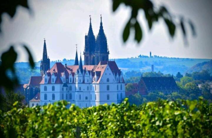 Ferienhaus Dr. Mueller Meißen Exterior foto