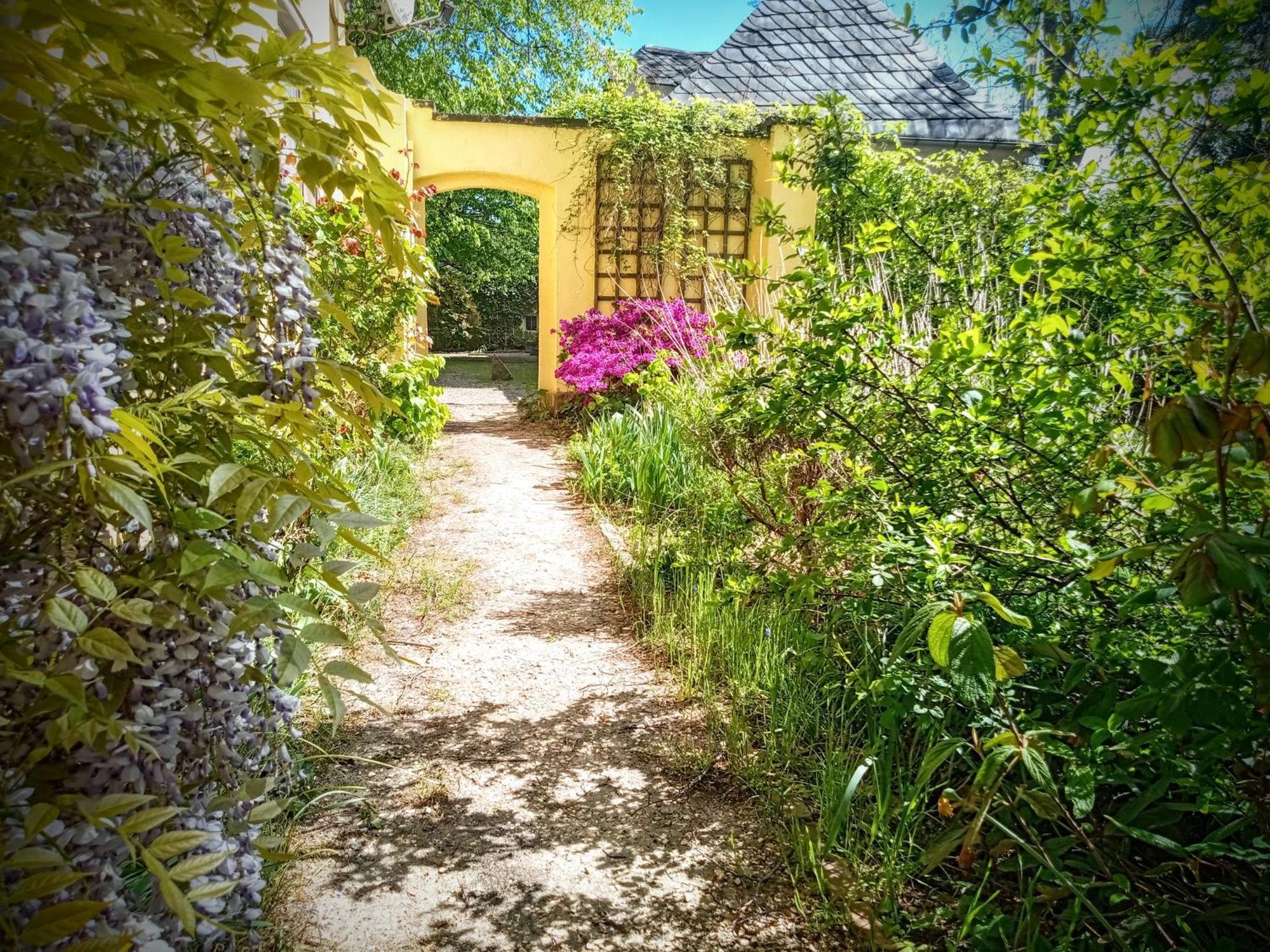 Ferienhaus Dr. Mueller Meißen Exterior foto