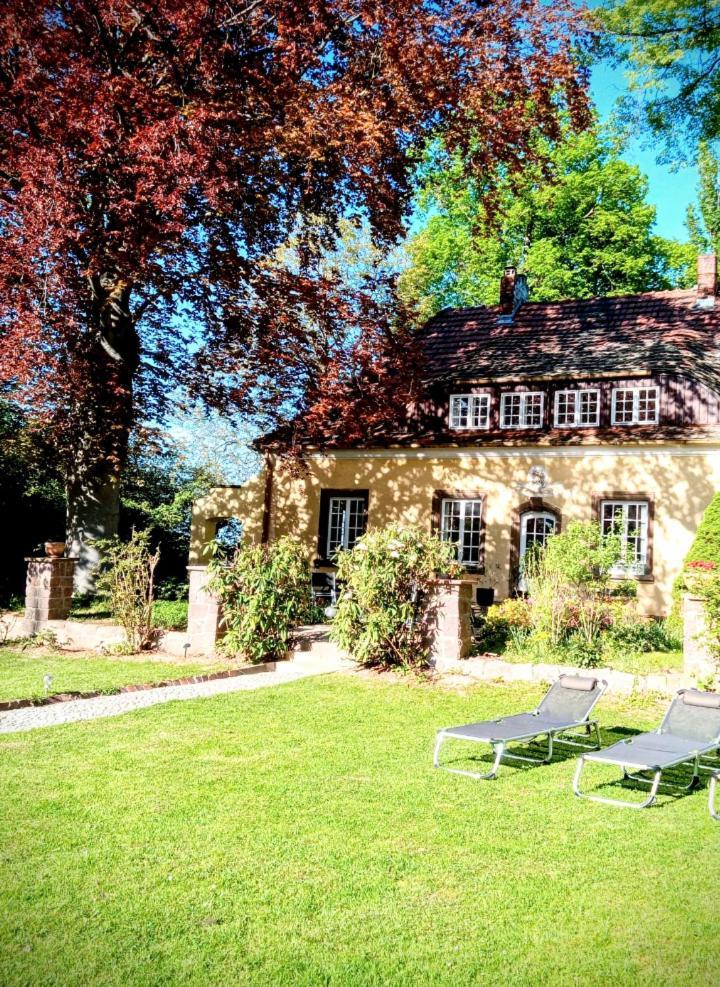 Ferienhaus Dr. Mueller Meißen Exterior foto